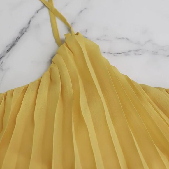 Two Piece Set Pleated Maxi Skirt and Crop Top - Picture 6 of 8